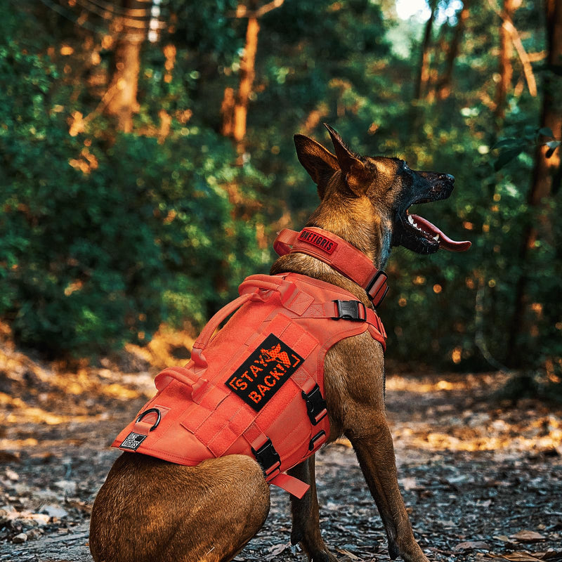 OneTigris Dog Harness, X Destroyer Tactical Harness Dog 3 Handles Heavy Duty Dog Vest with Metal Buckles - Orange S - PawsPlanet Australia