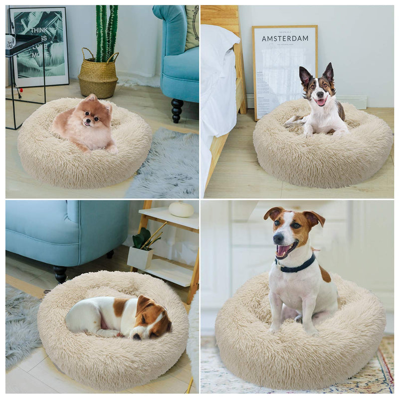 [Australia] - TAMOWA Dog Bed Cat Bed Comfortable Donut Cuddler Round Dog Bed for Small Medium Dogs Ultra Soft Calming Dog Bed, Self Warming, Improved Sleeping, Anti-Slip Base (Size 20"/24"/28"/31") 20” x 20” Beige 