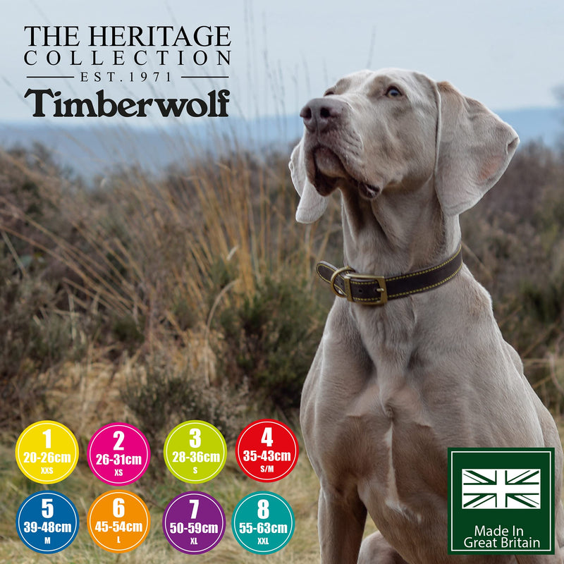Ancol Timberwolf Leather Dog Collar, Mustard. To fit neck 26-31 cm ( size 2) - PawsPlanet Australia