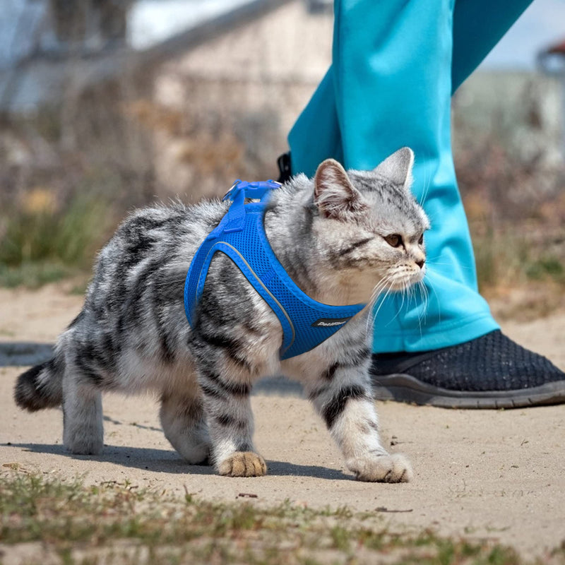 PetiFine Step in Dog Harness and Leash Set, Cat Harness and Leash Escape Proof, All Weather Mesh Reflective, Step-in Air Vest Harness for Cat Puppy Extra Small/Small/Medium Dogs XXXS | Neck: 10.2''-11.4'' Chest:11.4''-12.6'' | Baby Blue - PawsPlanet Australia