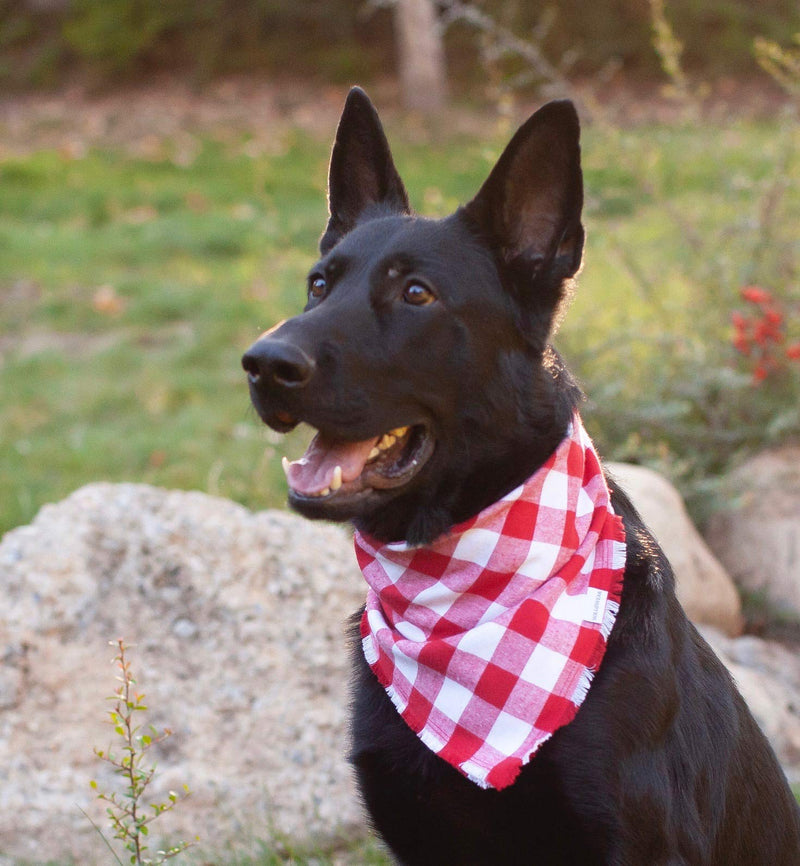 [Australia] - Willowear Dog Bandana Red and White Flannel Buffalo Plaid with Frayed Edge Medium Love 