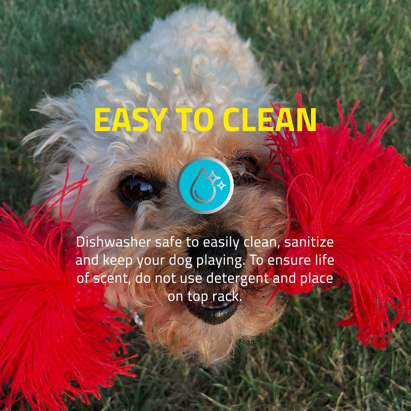 Playology Dri-Tech Ring Dog Toy - Engaging All-Natural Scented Dog Toys for Small, Medium & Large Dogs - Interactive & Tough Non-Toxic Chew Toys for Teething Medium Rope Beef - PawsPlanet Australia