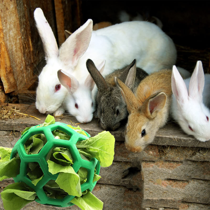 Guinea Pig Hay Feeder Ball, Rabbit Hanging Feeding Grass Ball Treat Ball Toy, Fruit Vegetable Feeder Holder Foraging Toy for Bunny Chinchilla Small Animals Pet - PawsPlanet Australia