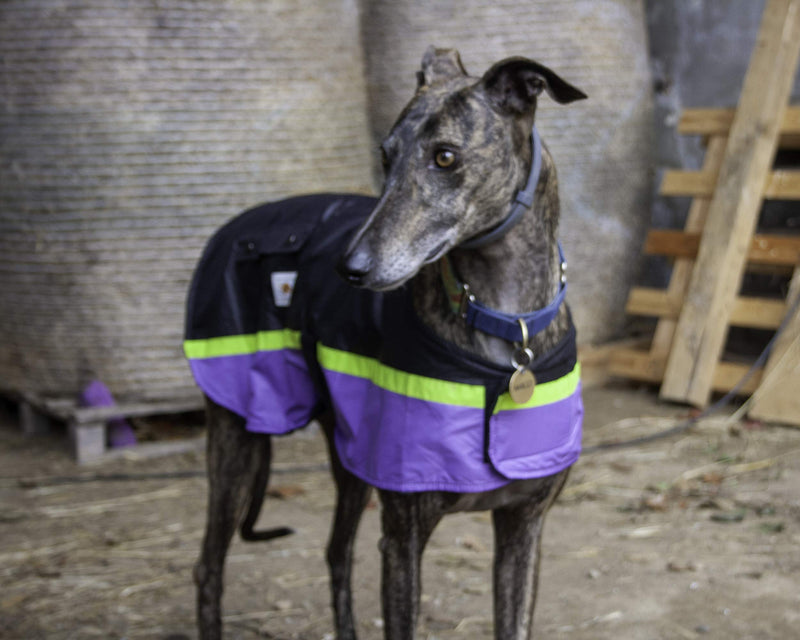 Waterproof Dog Coat | Lightweight | Warm | Reflective Strip | SightHound | Greyhound | Whippet - PawsPlanet Australia