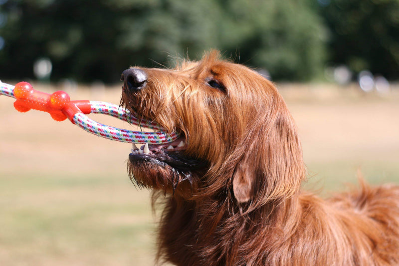 Vacker Design Dog Toys, Durable Chew Toys for Teething and Boredom, Natural Cotton Rope, Small/Medium Dogs - PawsPlanet Australia