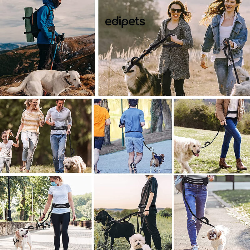 Edipets, Dog Jogging Lead, Hands-Free, Running, Hiking, Webbing, Anti-Stress, Reflective, 160-220cm (Grey) - PawsPlanet Australia