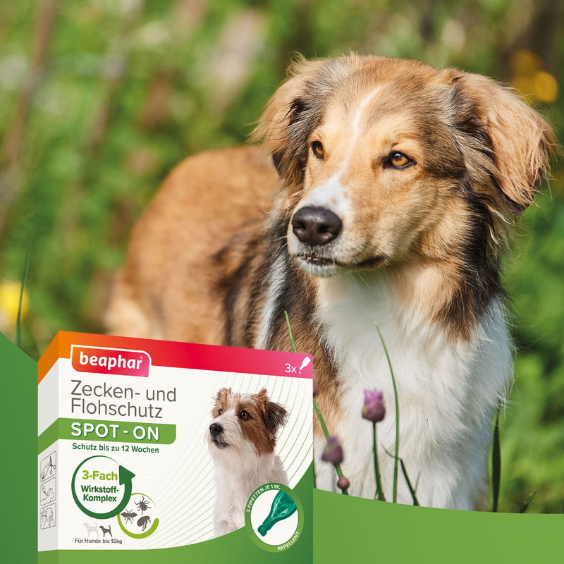 beaphar tick and flea protection SPOT ON for dogs up to 15 kg - PawsPlanet Australia