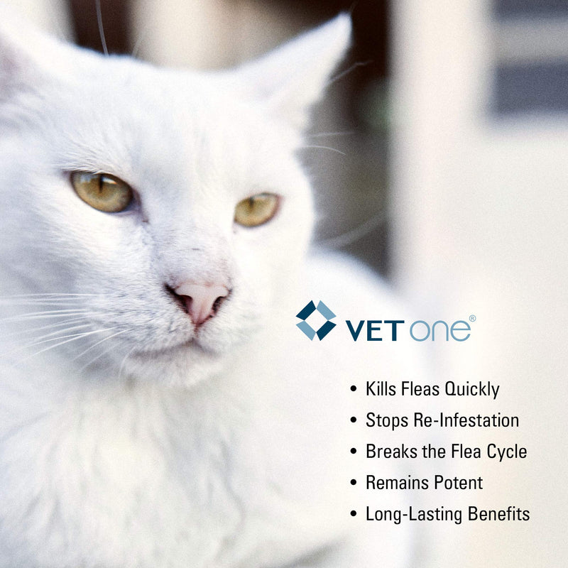 VetOne: CrossBlock II Kills & Prevents Fleas on Cats & Kittens Over 9 Lbs. 3 Applications. - PawsPlanet Australia