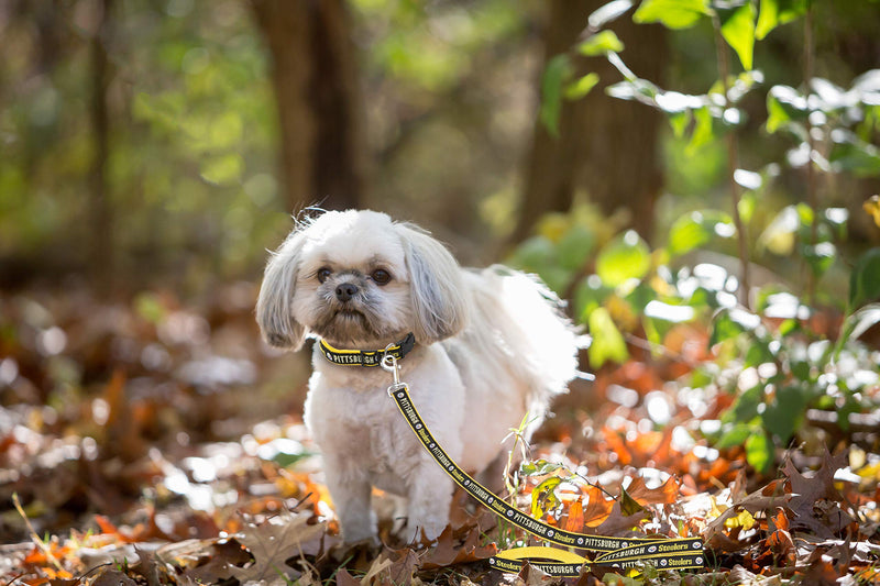 [Australia] - Pets First NFL Sports Dog Pet Leash, Available in Various Teams and Sizes Pittsburgh Steelers Small 