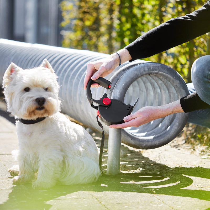 Dogxi dog leash roll leash 5m 25kg handle foldable strap tongue attach in the car small medium dogs black with carabiner leash 11mm wide extendable adjustable retractable - PawsPlanet Australia