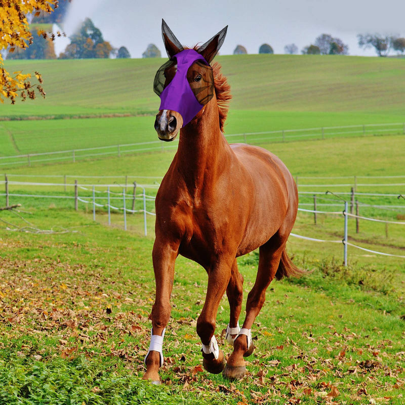 3 Pieces Horse Fly Mask Horse Mask with Ears Smooth and Elasticity Fly Mask with UV Protection, 3 Colors (L, Purple, Royal Blue, Pink) L - PawsPlanet Australia