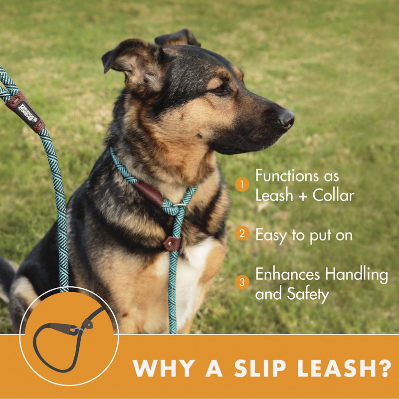 [Australia] - Friends Forever Extremely Durable Dog Slip Rope Leash, Premium Quality Mountain Climbing Rope Lead, Strong, Sturdy Comfortable Leash Supports The Strongest Pulling Large Medium Dogs 6 feet Olive 