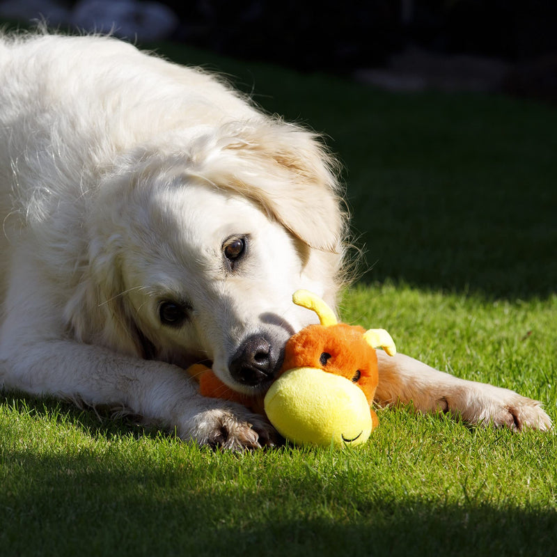 Petface Buddies Plush Cody the Caterpillar Dog Toy - PawsPlanet Australia