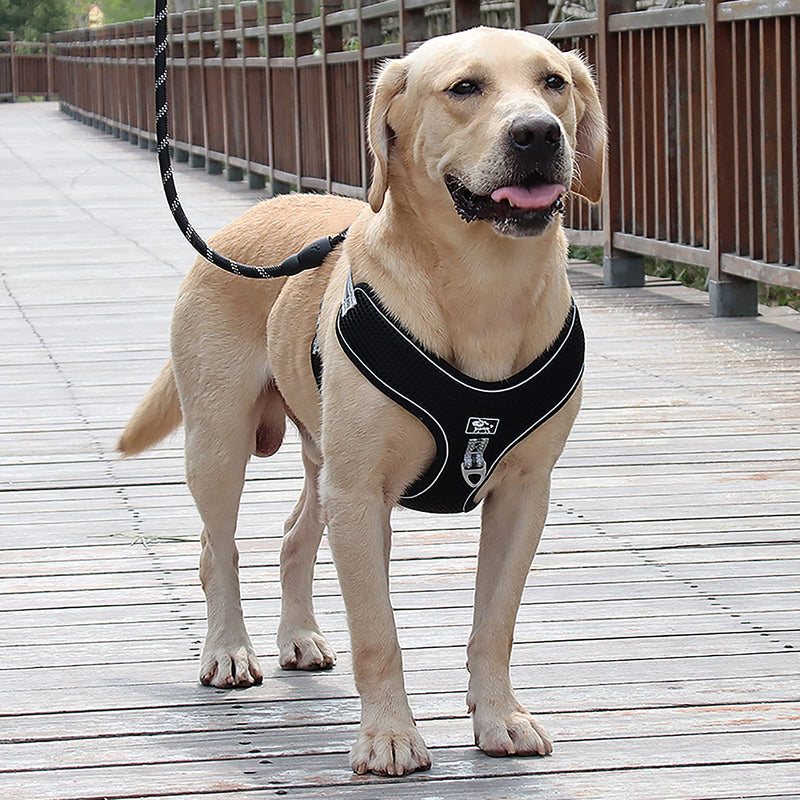 Cnarery No Pull Dog Harness, with 2 Adjustable Reflective Vest Harness for Small Medium/Large Dogs Outdoor Training Walking, Easy Control Heavy Duty Handle Dog Harness with 5 FT Leash black XL(Chest:17"-20.5") - PawsPlanet Australia