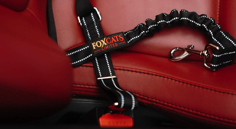 [Australia] - Foxcats Limited Dog Seat Belt, Dog Cat Car Safety Seat Belt Harness Adjustable Leads Harness for Cars Vehicle black 