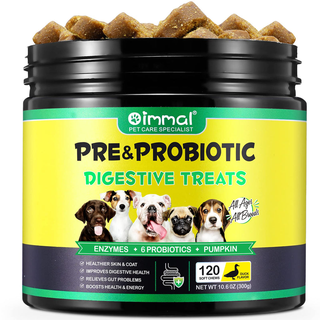 Probiotics for Dogs Digestive Health, Digestive Probiotic Soft Chews for Dogs, Dog Probiotics and Digestive Enzymes, 120 Dog Probiotics Chews Omega-3 & 6, Vitamin, Improve Digestion, Immunity - PawsPlanet Australia