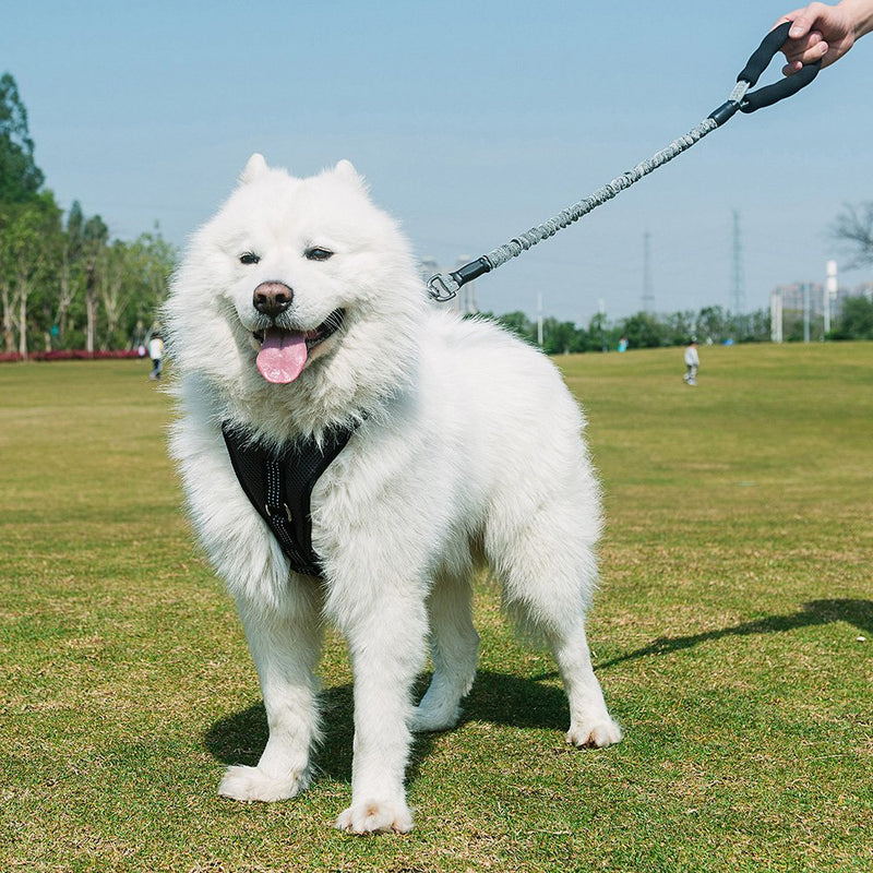 Dog Lead Bungee, Shock Absorbing Elastic Dog Lead with Soft Handle and Zinc Alloy Hardware,Heavy Duty Strong Anti Pull Pet Training Rope Leash for Medium and Large Dogs Grey - PawsPlanet Australia