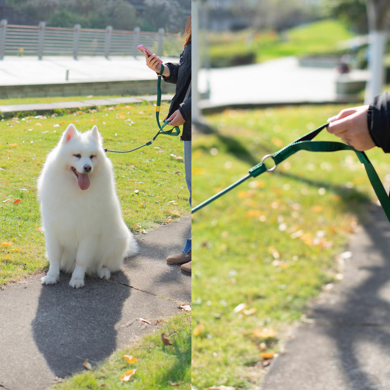 TRICESS Dog Slip Lead Dog Leash,Fine Webbing Training Leash, No Pulling Slip Leash Collar,Heavy Duty&Durable,Padded Handle,Easy-Control for Small,Medium or Large Dogs,5FT (Green, 5FT) Green - PawsPlanet Australia