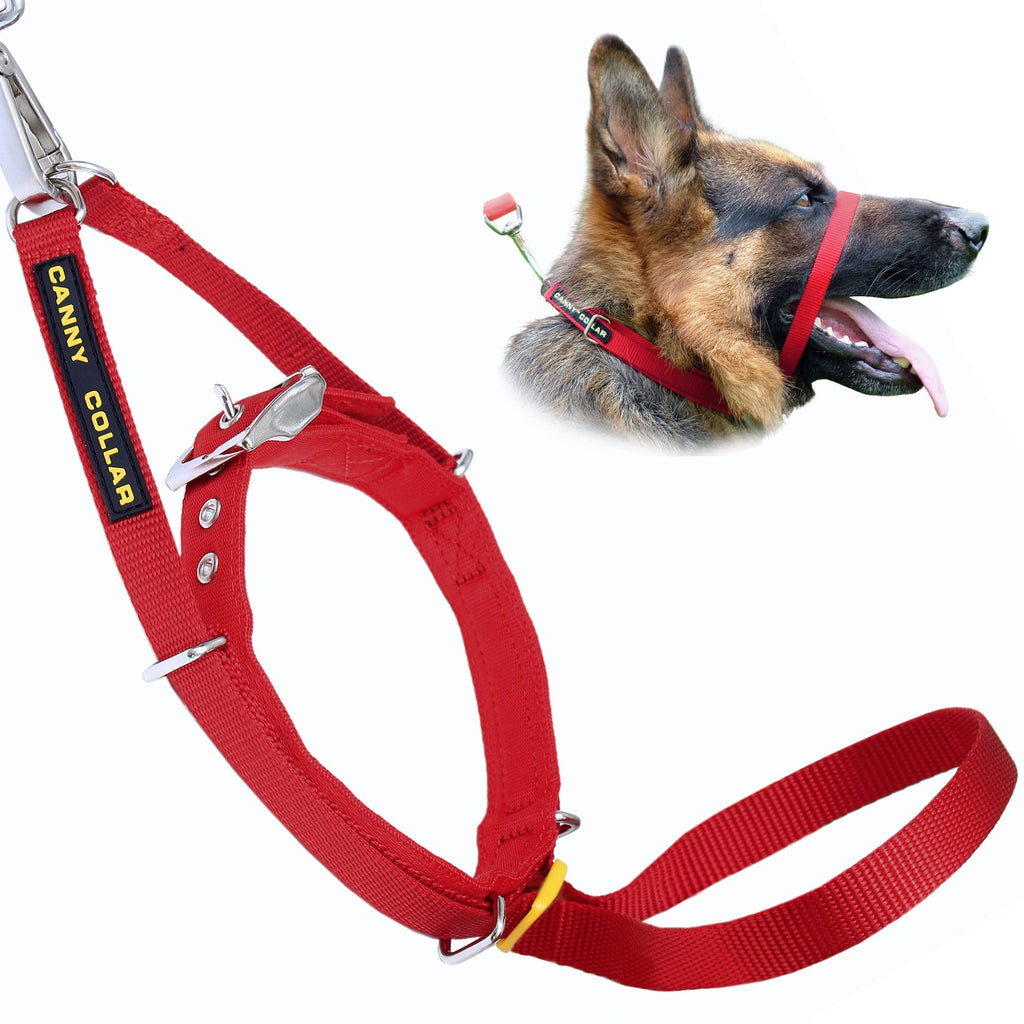 Canny Collar for dogs, simple and effective aid for dog training and prevents dogs from pulling - red size 2 - neck circumference 28-33cm - PawsPlanet Australia