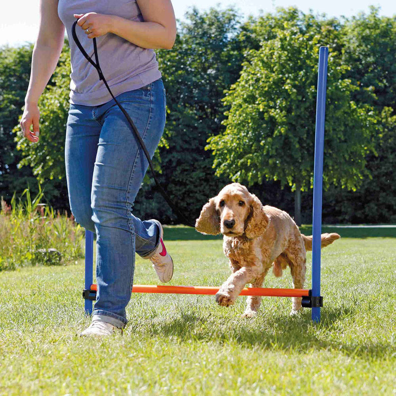 Trixie 19460 Paw Protector Walker Active, XS, Black - PawsPlanet Australia
