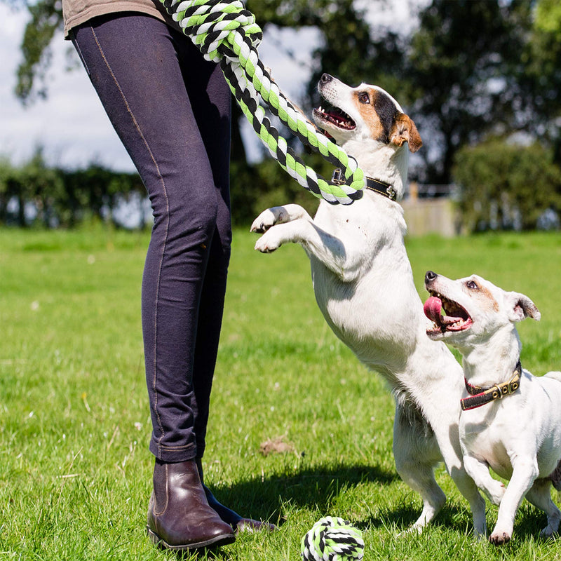 Dog Rope Toys for Aggressive Chewers Durable Tough for Small to Large Dog Chew Toys - Indestructible Small Dog & Puppy Teething Toys Prevents Boredom and Relieves Stress Set of 6 - PawsPlanet Australia