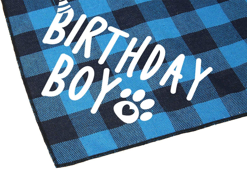 Dog Birthday Bandana Boy Blue - PawsPlanet Australia