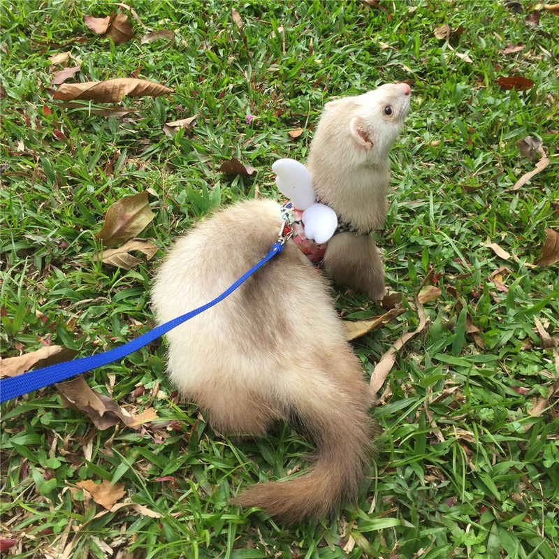 Ferret Harness and Leash Adjustable, Blue Sakura Cotton Cloth Ferret Walking Vest, Soft and Breathable Ferret Lead Leash with Angel Wings and Safe Bell - PawsPlanet Australia