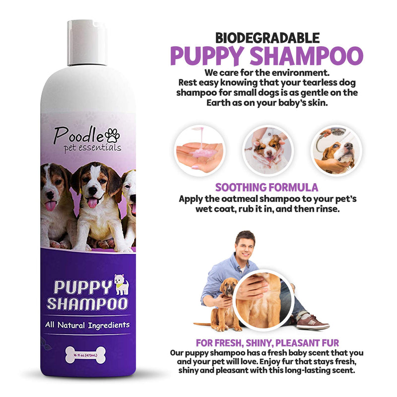 Poodle Pets Dog Bath Brush Shampoo Dispenser with All-Natural Tearless Puppy Shampoo - Rubber Dog Grooming Brush for Short Hair - 2-in1 Soap Brush for Sensitive Pets - PawsPlanet Australia