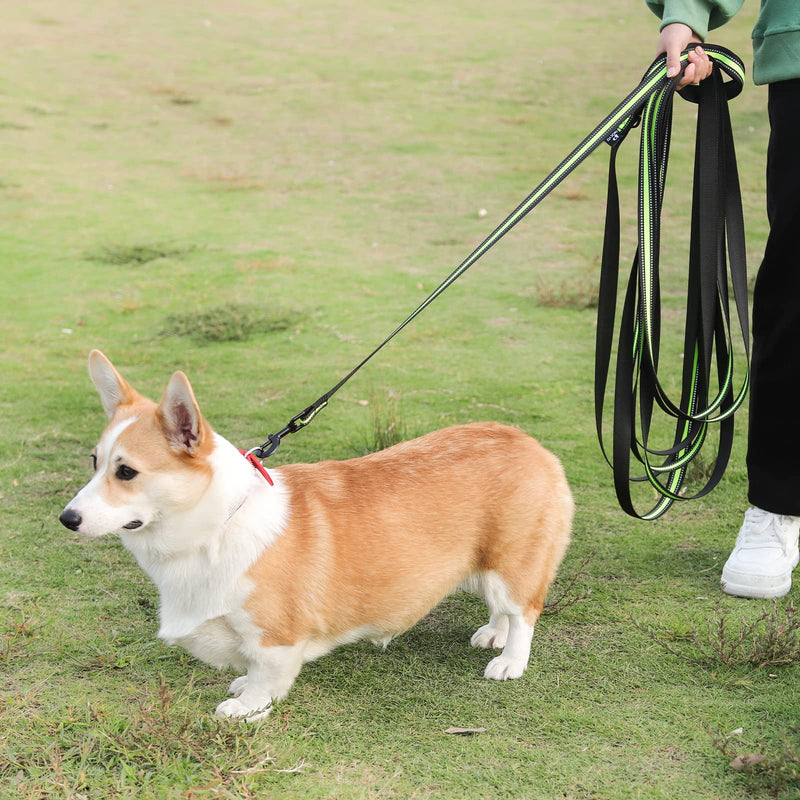 Snocyo towing leash for dogs 20m, robust dog leash for small, medium and large dogs, training leash with padded handle, reinforced carabiner and storage bag, green & black - PawsPlanet Australia