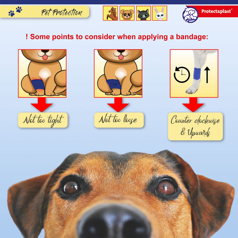Protectaplast Self-Adhesive Bandage Set of 7 for Pets (3 Sizes) - Self-Adhesive Bandage without Latex & Glue for Dogs, Cats, Horses - Dog & Cat Bandage Material Wounds & Joints 7.5cm x 4.5m, 5cm x 4.5m, 2.5cm x 4.5m - PawsPlanet Australia