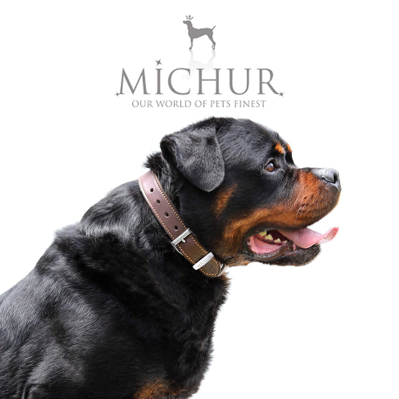 MICHUR Minimo dog collar leather, dog leather collar, collar brown, LEATHER, Neck circumference 14,17-17,72" Neck circumference 14,17-17,72" - PawsPlanet Australia