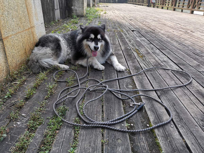 YUCFOREN Check Cord/Tie Out Long Rope Leash for Dog Training 15FT 20FT 26FT 40FT Obedience Recall Training Agility Lead for Large Medium Small Dogs, Great for Training, Camping, Playing, Backyard Black blue - PawsPlanet Australia