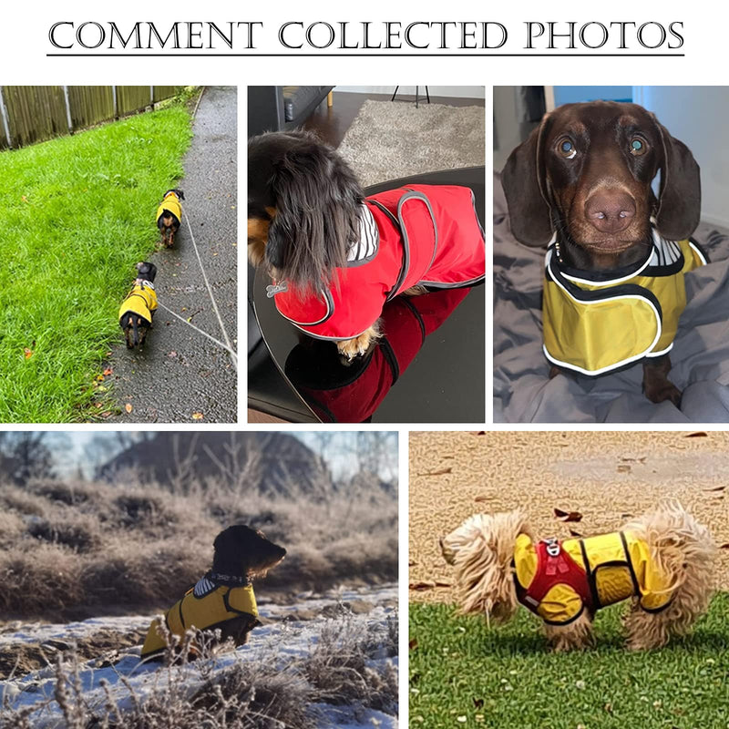 Dog Jacket Adjustable Lightweight Dachshund Raincoat with Reflective Straps and Harness Hole Best Gift for Dachshund -Yellow -M M Yellow - PawsPlanet Australia