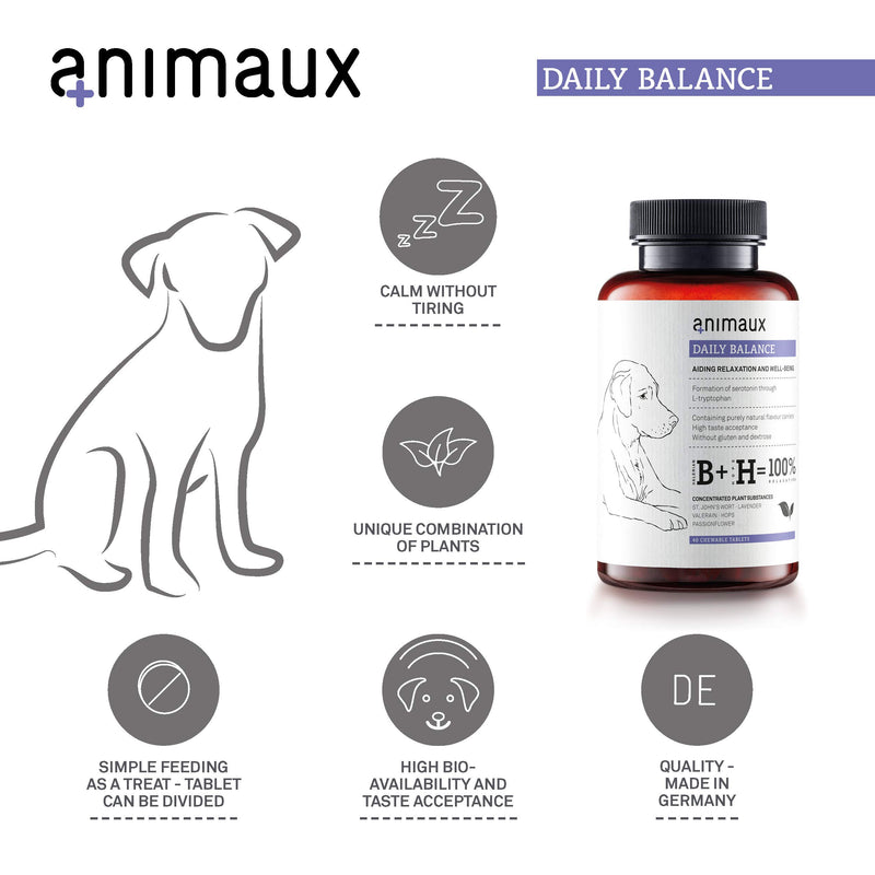 animaux daily balance – German Calming Supplement for dogs I Support in Stress & Anxiety related to Car Travel, Vet Visits, Loud Noises, Separation & Aggression I Natural Pet Remedy for nervous dogs - PawsPlanet Australia