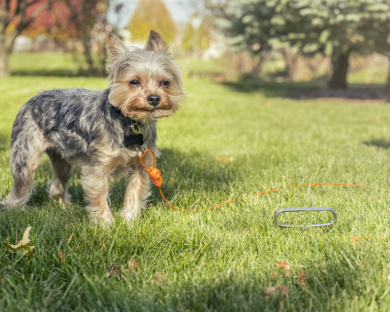KOMUS IntelliLeash Products Dog Leash, Pack of 9 10 lb/12' - PawsPlanet Australia