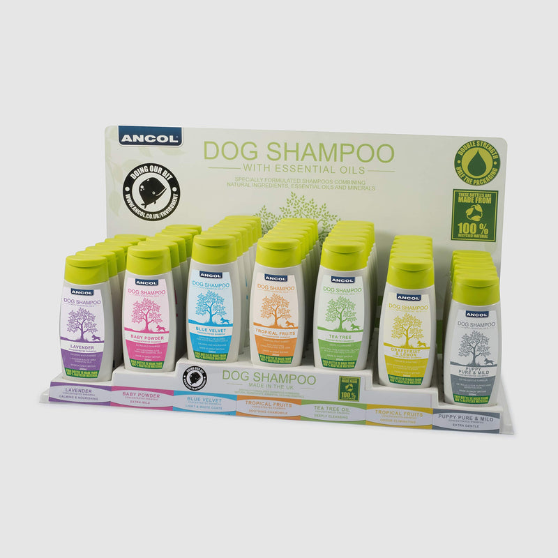 Ancol Lavender Dog Shampoo - PawsPlanet Australia