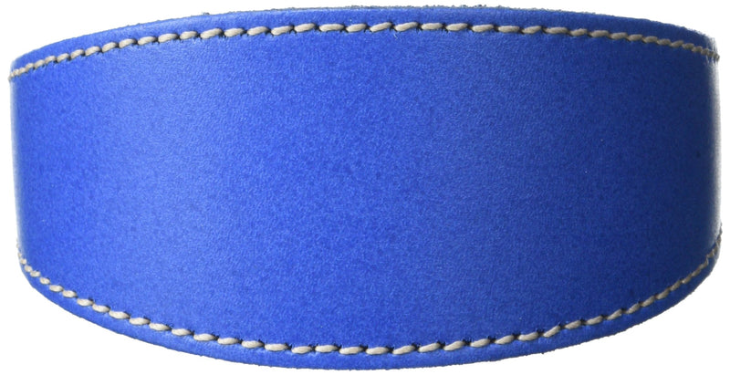 BBD Pet Products Whippet Collar, One Size, 3/4 x 10 to 12-Inch, Royal - PawsPlanet Australia