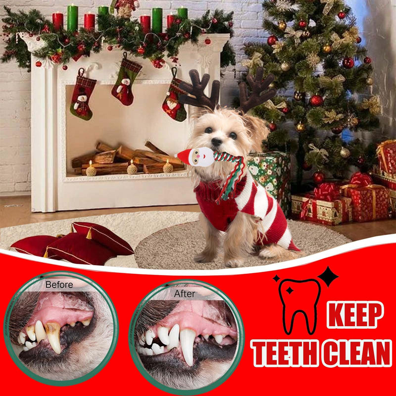 ASSUGO Christmas dog toys, pack of 4 dog toys Christmas, dog toys squeaky interesting, dog toys suitable as gifts for dogs - PawsPlanet Australia