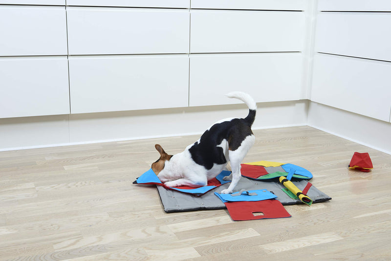 [Australia] - Kruuse Task for Buster Activity Mat, Book 