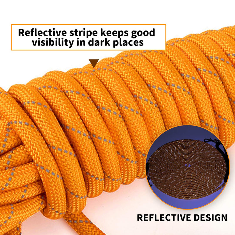 PETTOM Dog Training Lead Long Dog Line 10m 15m Extra Long Heave Duty Reflective Dog Leash for Small Medium Large Dogs Tracking Recall Training Outdoor (S: 5m / 16ft, Orange) S: 5m / 16ft - PawsPlanet Australia