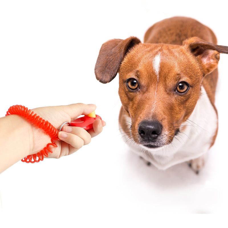 [Australia] - Downtown Pet Supply Big Button Dog Cat Training Clicker, Clickers with Wrist Bands 4 Pack 