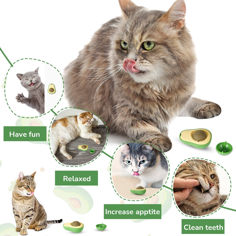 6 Pieces Catnip Wall Ball Avocado Shape Cat Licking Toys Edible Catnip Wall Toy for Cats Teeth Cleaning Cat Mint Ball Interactive Rotatable Cat Dental Toy Kitten Cat Chew Toy - PawsPlanet Australia