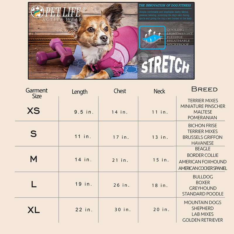 Pet Life Active 'Chewitt Wagassy' 4-Way Stretch Performance Long Sleeve Dog T-Shirt Medium Teal - PawsPlanet Australia
