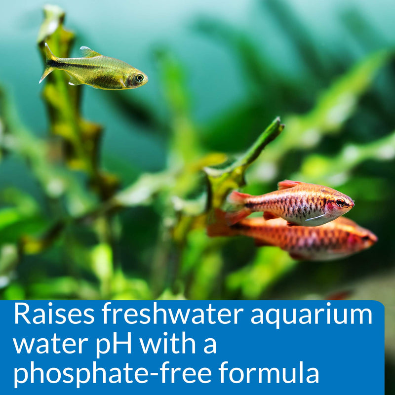 API pH UP pH adjuster, Raises freshwater aquarium water pH to the level your fish need to thrive, Test water weekly and use to correct pH level 1P - PawsPlanet Australia