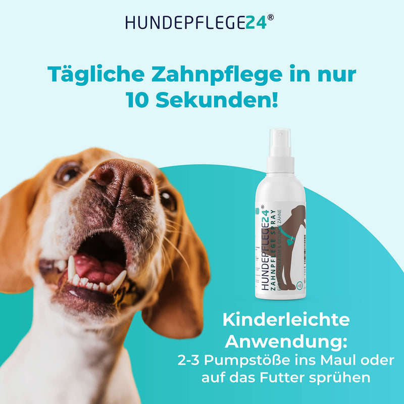 Hundepflege24 dental spray for dogs and cats - healthy, clean, strong teeth and fresh breath with natural active ingredients such as chamomile, calcium and mint - dental care spray for dogs (150ml) 150ml - PawsPlanet Australia