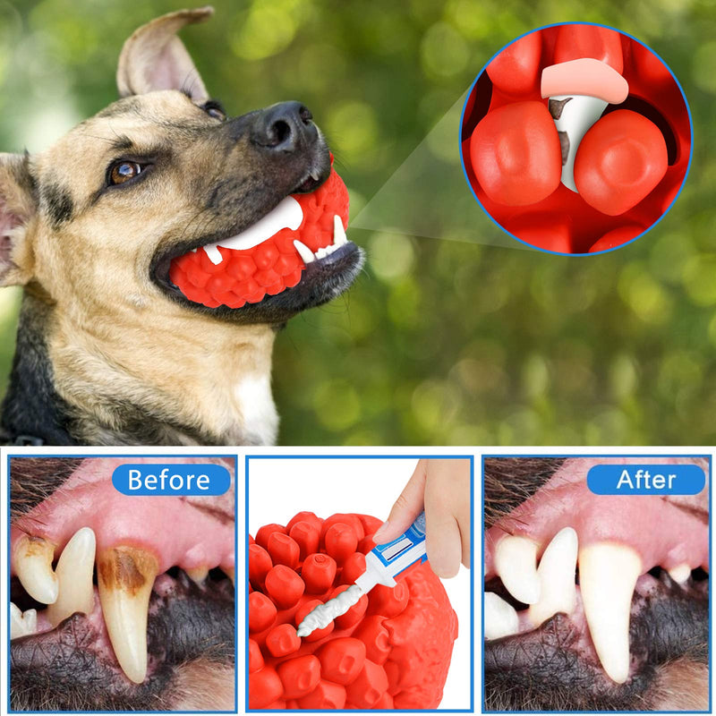 G.C Indestructible Dog Toys Large Aggressive Chewers, Dog Chew Toothbrush Toys, Interactive Treat Toy, Tough Strong Durable Rubber Funny Teething for Medium Small Pets Doggy - PawsPlanet Australia