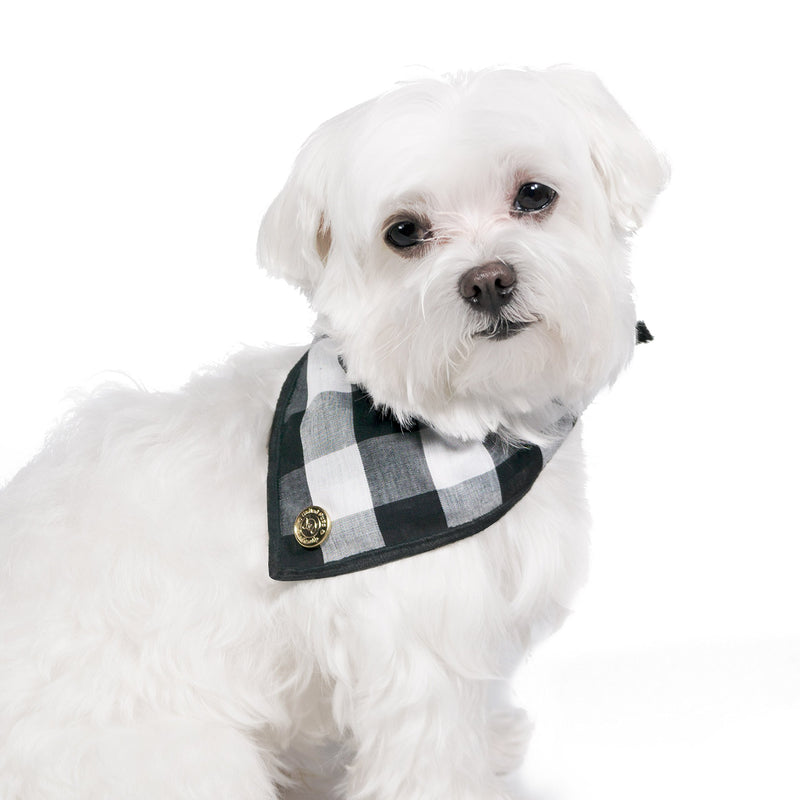 [Australia] - United Pups Designer Bandana Collection for Dogs B&W Gingham Small 
