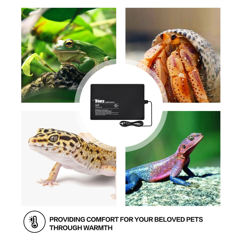 iPower Reptile Heat Pad 8X12 Inch 16W Under Tank Terrarium Warmer Heating Mat for for Turtle, Lizard, Frog, Snake, Reptile, and Other Small Animals - PawsPlanet Australia
