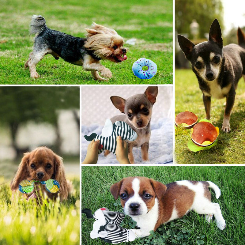 [Australia] - BUIBIIU Dog/Puppy Teething Toys, Assorted Chew Toys, 6 ct Basic 