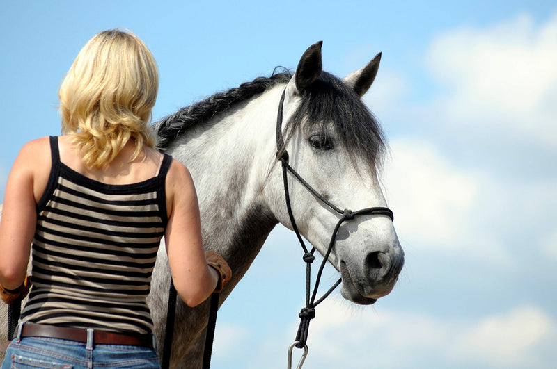 Natural Horsemanship Rope Halters Headcollars For Parelli Training in 11 Sizes - Miniature, Foal, Shetland, Weanling, Pony, Cob, Arab, Full Horse, Extra Full & Draft/Draught 01. Miniature Foal White - PawsPlanet Australia